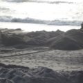 Recent post